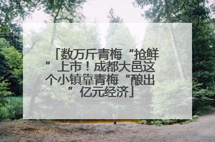 数万斤青梅“抢鲜”上市！成都大邑这个小镇靠青梅“酿出”亿元经济