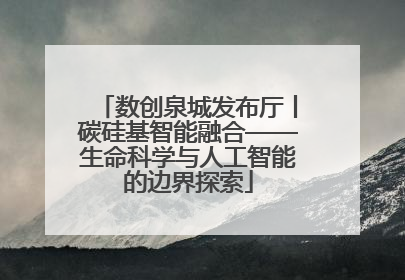 数创泉城发布厅丨碳硅基智能融合——生命科学与人工智能的边界探索