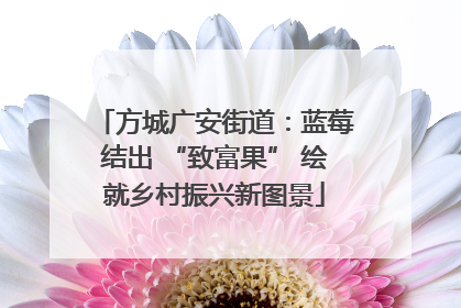 方城广安街道：蓝莓结出 “致富果” 绘就乡村振兴新图景