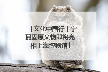 文化中国行｜宁夏固原文物即将亮相上海博物馆