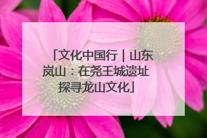 文化中国行｜山东岚山：在尧王城遗址探寻龙山文化