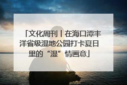 文化周刊丨在海口潭丰洋省级湿地公园打卡夏日里的“湿”情画意