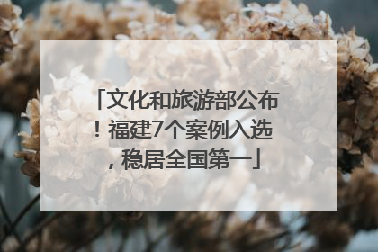 文化和旅游部公布！福建7个案例入选，稳居全国第一