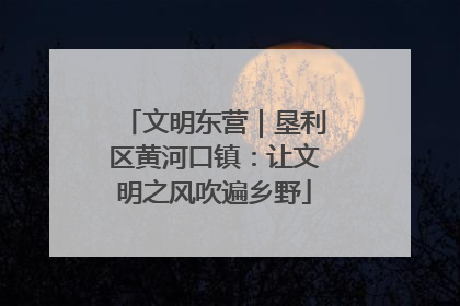 文明东营｜垦利区黄河口镇：让文明之风吹遍乡野