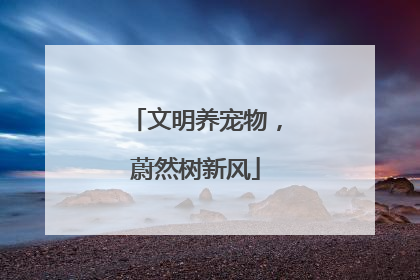 文明养宠物，蔚然树新风