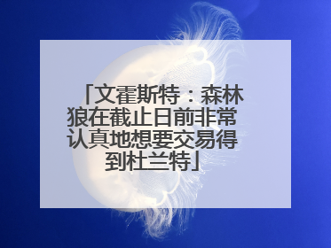 文霍斯特：森林狼在截止日前非常认真地想要交易得到杜兰特