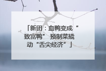 新田：血鸭变成“致富鸭” 预制菜撬动“舌尖经济”