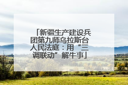 新疆生产建设兵团第九师乌拉斯台人民法庭：用“三调联动”解牛事