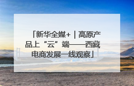 新华全媒+｜高原产品上“云”端——西藏电商发展一线观察