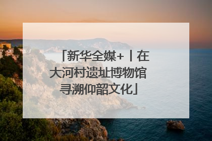 新华全媒+丨在大河村遗址博物馆寻溯仰韶文化