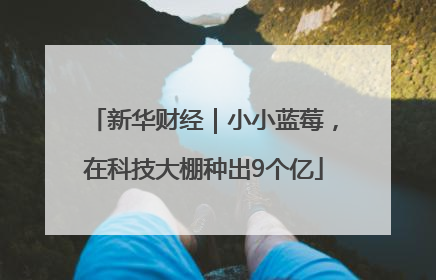 新华财经｜小小蓝莓，在科技大棚种出9个亿
