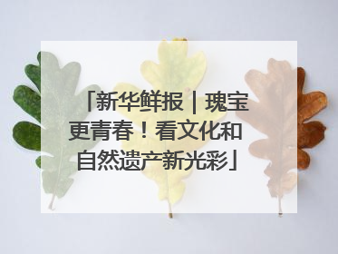 新华鲜报｜瑰宝更青春！看文化和自然遗产新光彩