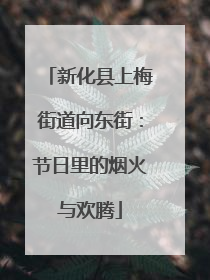 新化县上梅街道向东街：节日里的烟火与欢腾