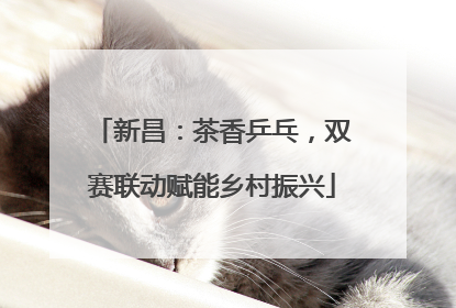 新昌：茶香乒乓，双赛联动赋能乡村振兴