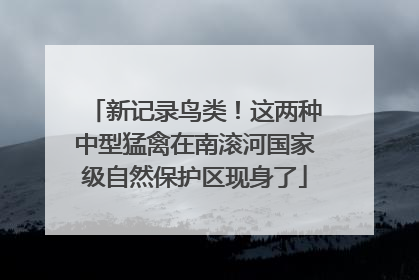 新记录鸟类！这两种中型猛禽在南滚河国家级自然保护区现身了