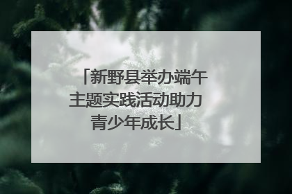 新野县举办端午主题实践活动助力青少年成长