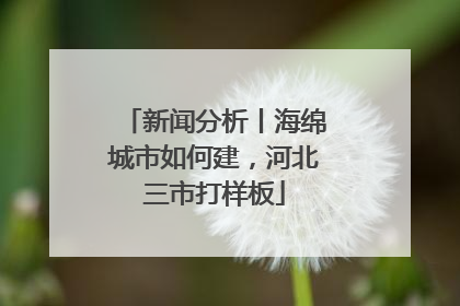 新闻分析丨海绵城市如何建，河北三市打样板