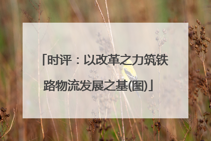 时评：以改革之力筑铁路物流发展之基(图)