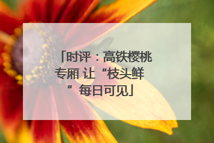 时评：高铁樱桃专厢 让“枝头鲜”每日可见