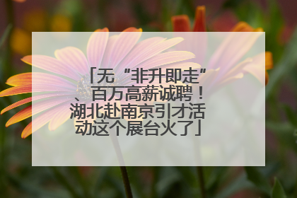无“非升即走”、百万高薪诚聘！湖北赴南京引才活动这个展台火了