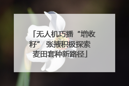 无人机巧播“增收籽” 张掖积极探索麦田套种新路径