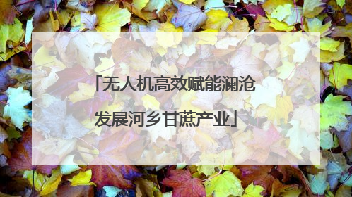 无人机高效赋能澜沧发展河乡甘蔗产业