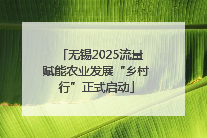 无锡2025流量赋能农业发展“乡村行”正式启动