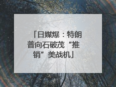 日媒爆：特朗普向石破茂“推销”美战机