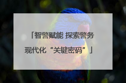 智警赋能 探索警务现代化“关键密码”