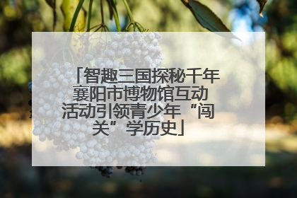 智趣三国探秘千年 襄阳市博物馆互动活动引领青少年“闯关”学历史