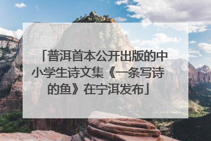 普洱首本公开出版的中小学生诗文集《一条写诗的鱼》在宁洱发布