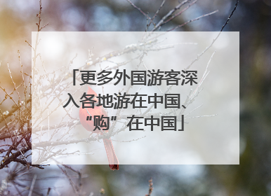 更多外国游客深入各地游在中国、“购”在中国