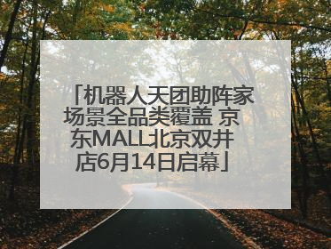 机器人天团助阵家场景全品类覆盖 京东MALL北京双井店6月14日启幕