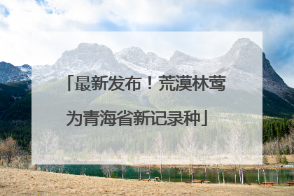 最新发布！荒漠林莺为青海省新记录种