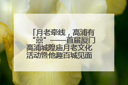 月老牵线，高浦有“囍”——首届厦门高浦城隍庙月老文化活动暨他趣百城见面会隆重举办