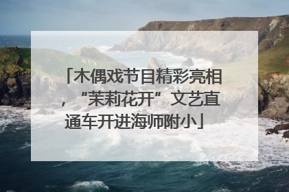木偶戏节目精彩亮相，“茉莉花开”文艺直通车开进海师附小