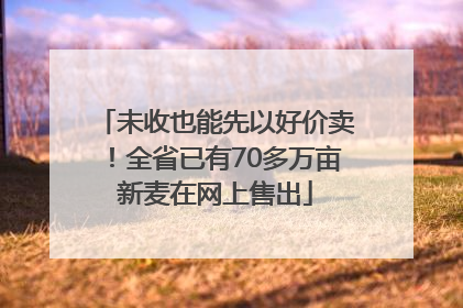 未收也能先以好价卖！全省已有70多万亩新麦在网上售出