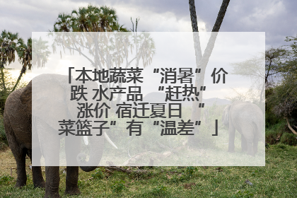 本地蔬菜“消暑”价跌 水产品 “赶热” 涨价 宿迁夏日 “菜篮子”有“温差”