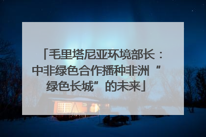 毛里塔尼亚环境部长：中非绿色合作播种非洲“绿色长城”的未来