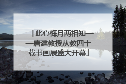 此心梅月两相知——唐建教授从教四十载书画展盛大开幕