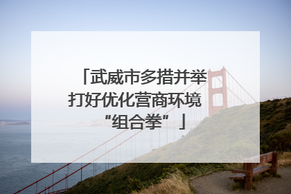 武威市多措并举打好优化营商环境“组合拳”
