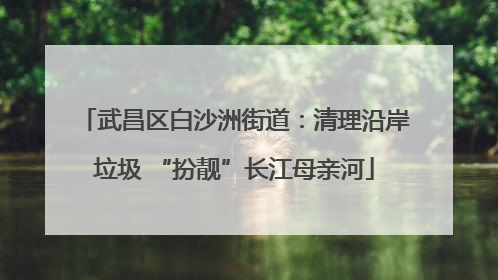 武昌区白沙洲街道：清理沿岸垃圾 “扮靓”长江母亲河