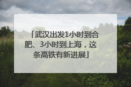 武汉出发1小时到合肥、3小时到上海，这条高铁有新进展