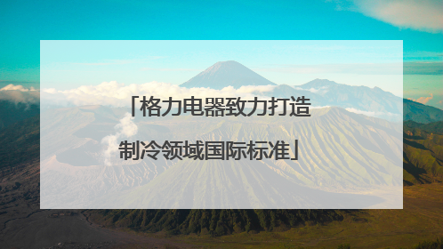格力电器致力打造制冷领域国际标准