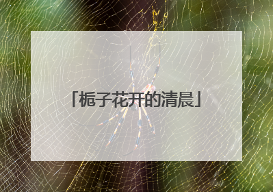 栀子花开的清晨