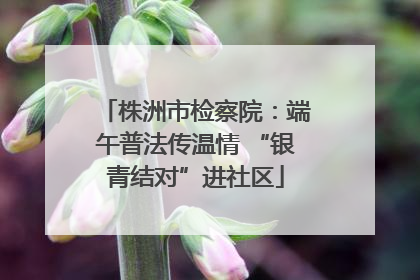 株洲市检察院：端午普法传温情 “银青结对”进社区