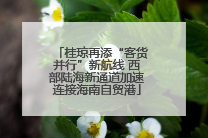 桂琼再添“客货并行”新航线 西部陆海新通道加速连接海南自贸港