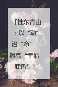 桂东青山：以“动”治“净” 擦亮“幸福底色”