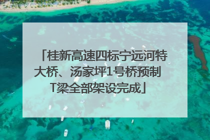 桂新高速四标宁远河特大桥、汤家坪1号桥预制T梁全部架设完成