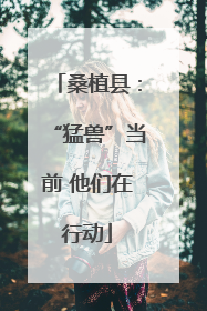 桑植县：“猛兽”当前 他们在行动